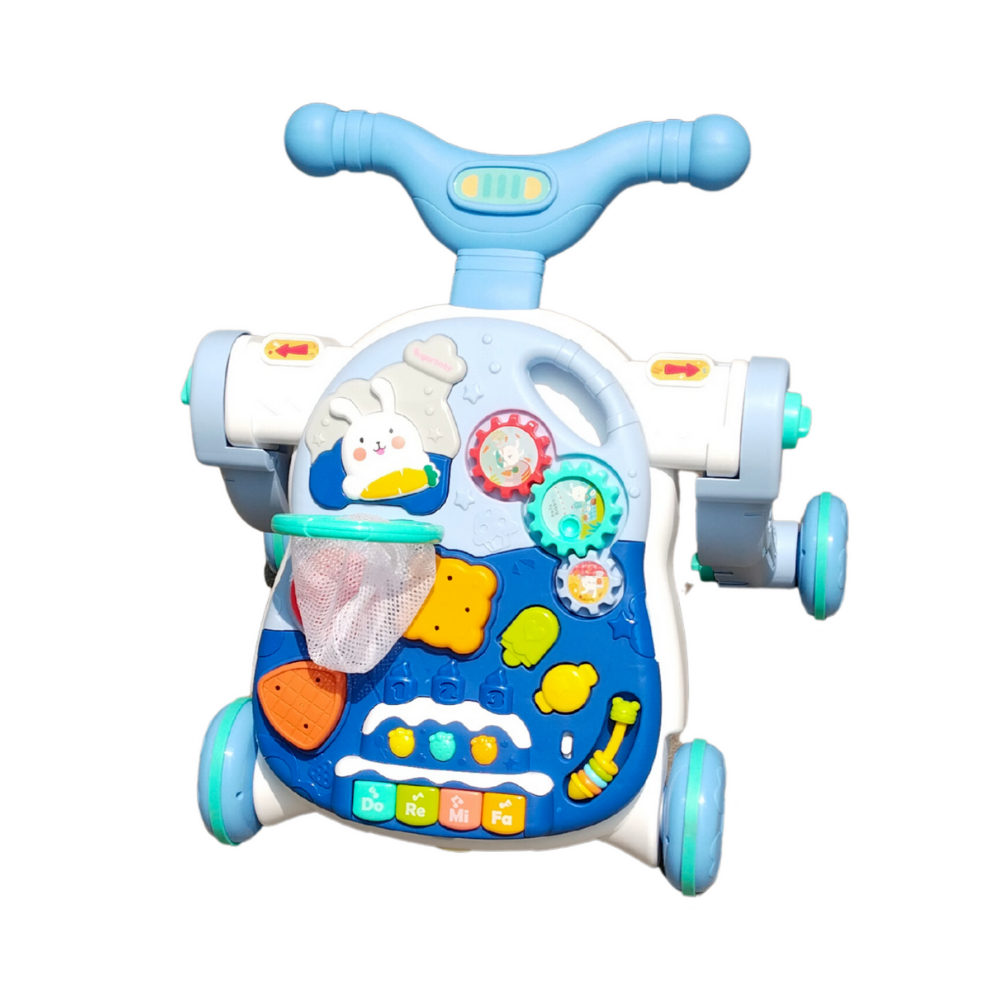 Push walker